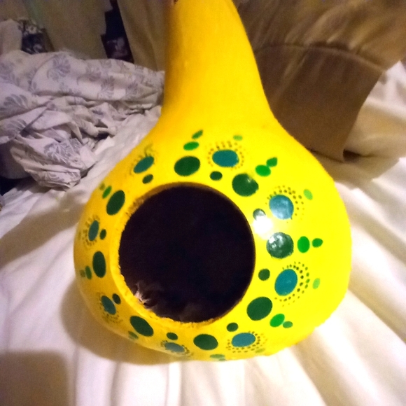 Gourd bird house - Picture 9 of 9